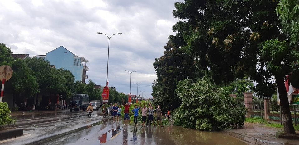 Giông lốc tàn phá hàng chục ngôi nhà, hàng trăm cây xanh - 10 Giông lốc tàn phá hàng chục ngôi nhà, hàng trăm cây xanh - 10