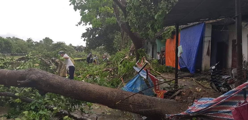 Giông lốc tàn phá hàng chục ngôi nhà, hàng trăm cây xanh - 5 Giông lốc tàn phá hàng chục ngôi nhà, hàng trăm cây xanh - 5