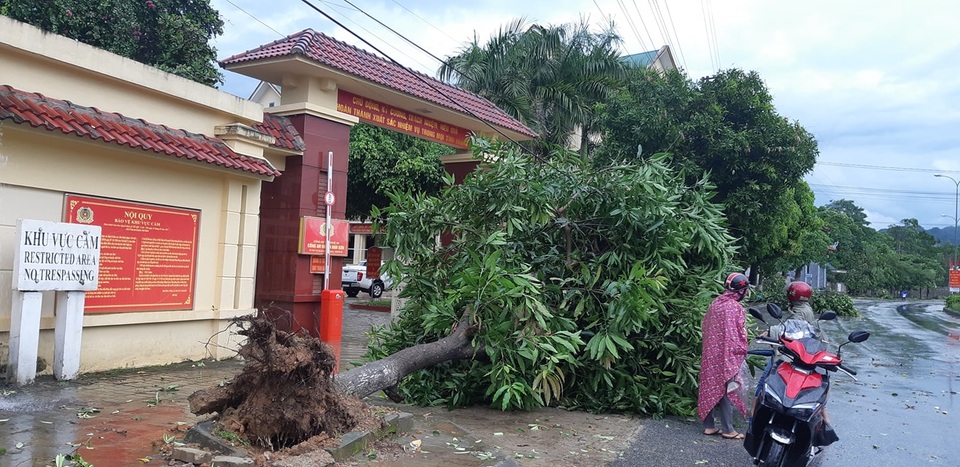 Giông lốc tàn phá hàng chục ngôi nhà, hàng trăm cây xanh - 6 Giông lốc tàn phá hàng chục ngôi nhà, hàng trăm cây xanh - 6