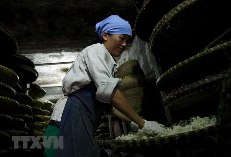 Những hình ảnh về nghề làm tương bần ở tỉnh Hưng Yên - 4 Những hình ảnh về nghề làm tương bần ở tỉnh Hưng Yên - 4
