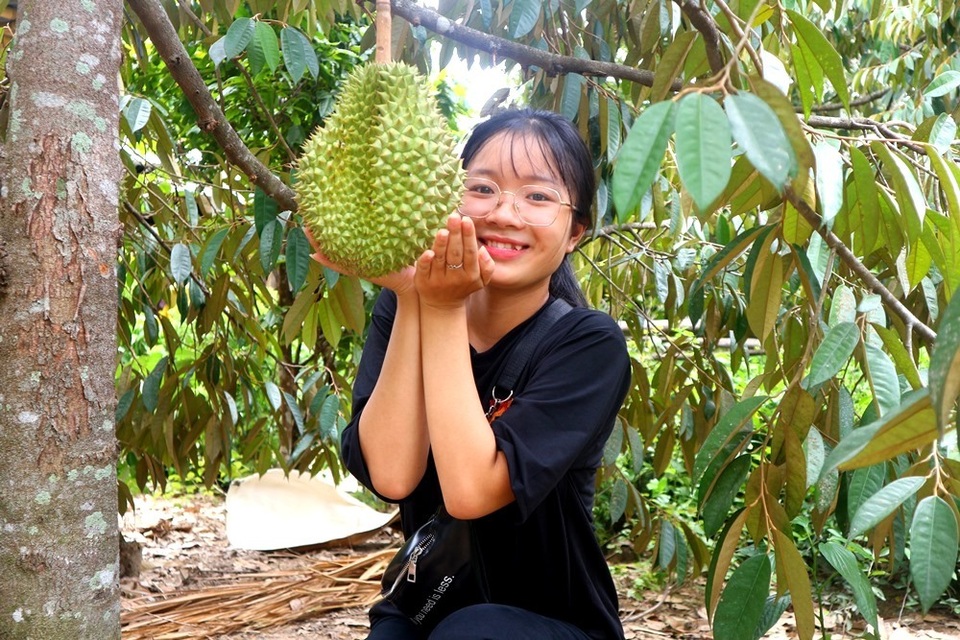 Những điểm chech-in ở Quảng Nam dịp lễ 2/9 Những điểm chech-in ở Quảng Nam dịp lễ 2/9