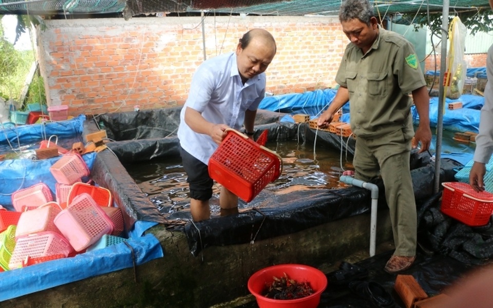 Phát hiện một cơ sở nuôi hơn 7.000 con tôm hùm đỏ - 1 Phát hiện một cơ sở nuôi hơn 7.000 con tôm hùm đỏ - 1