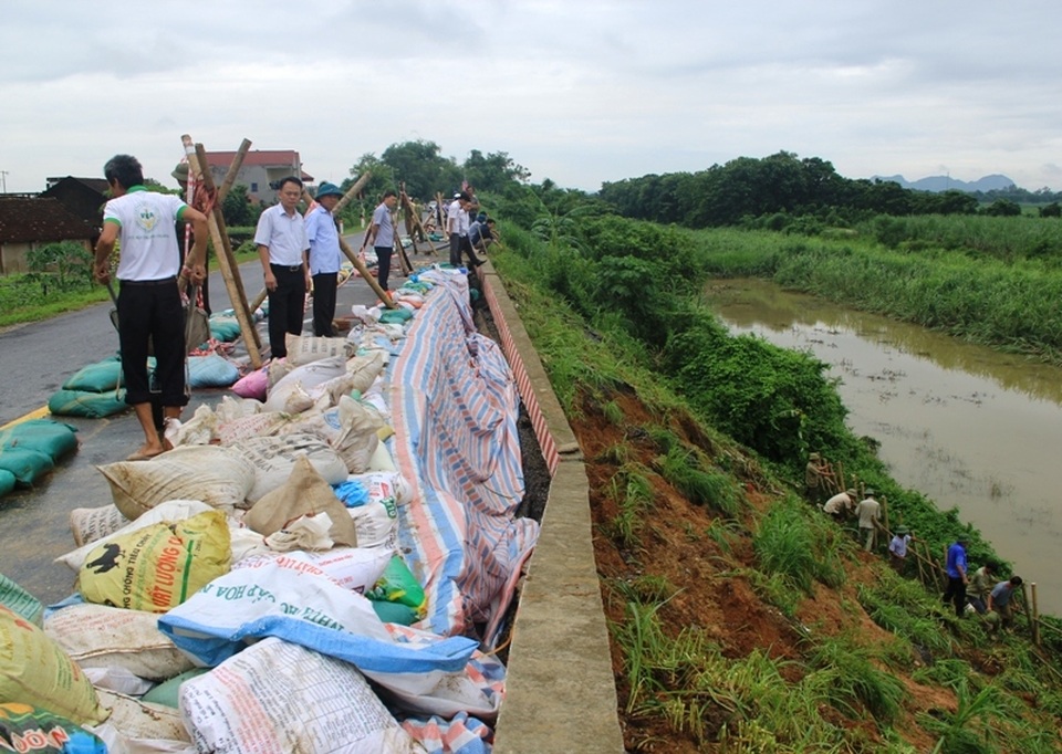 Xuất hiện vết sạt nguy hiểm trên đê hữu sông Chu - 1 Xuất hiện vết sạt nguy hiểm trên đê hữu sông Chu - 1