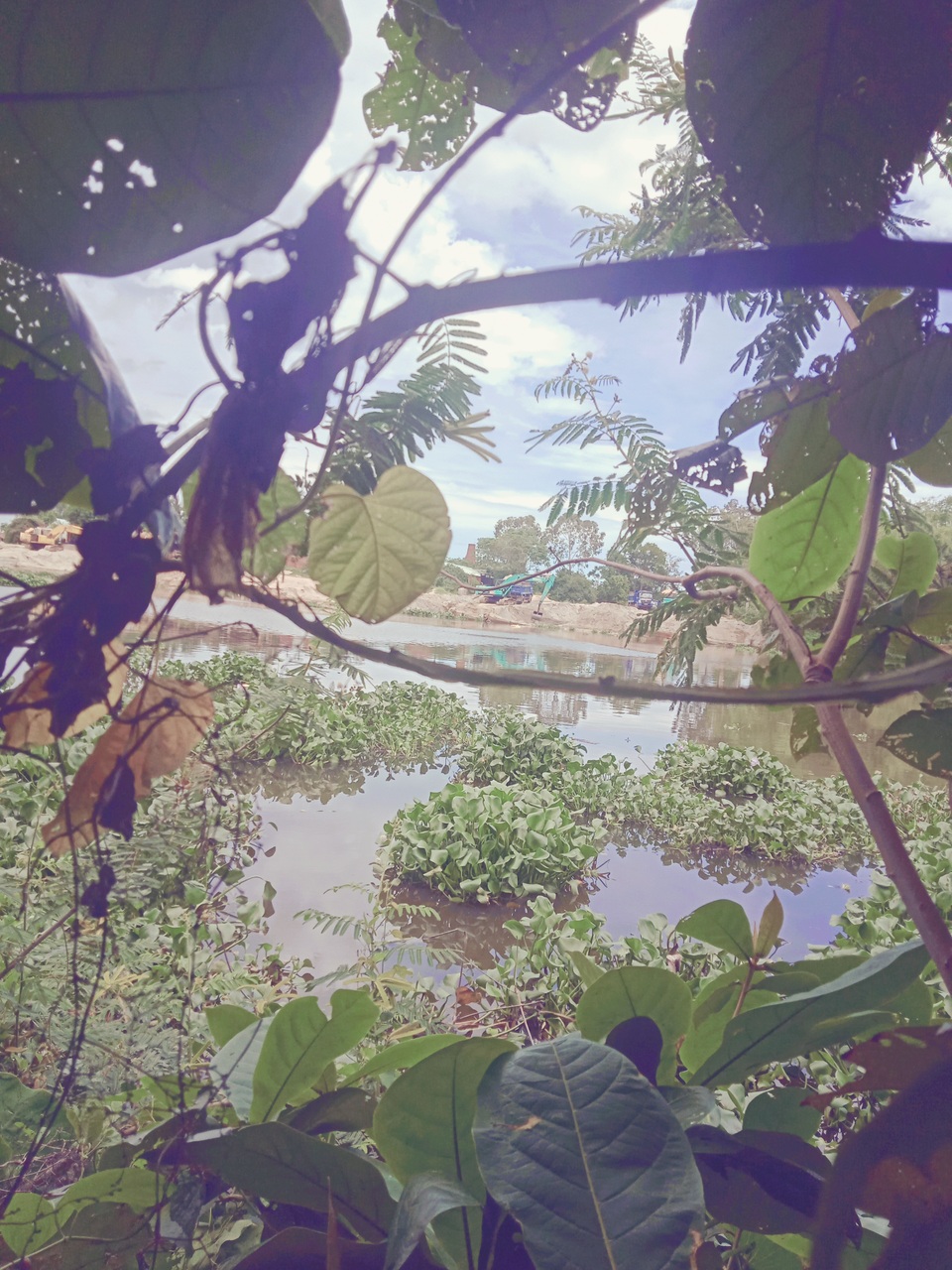 Bến cát trái phép hoạt động trong ngày lễ