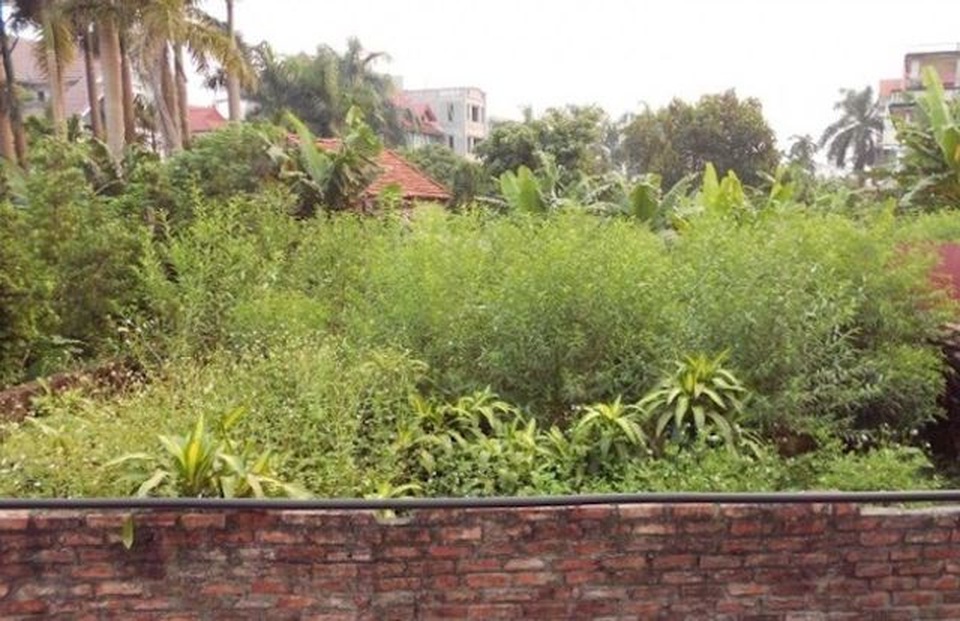 Hà Nội phải trả giá ra sao sau những dễ dãi, bừa bãi trong quy hoạch? - 3 Hà Nội phải trả giá ra sao sau những dễ dãi, bừa bãi trong quy hoạch? - 3
