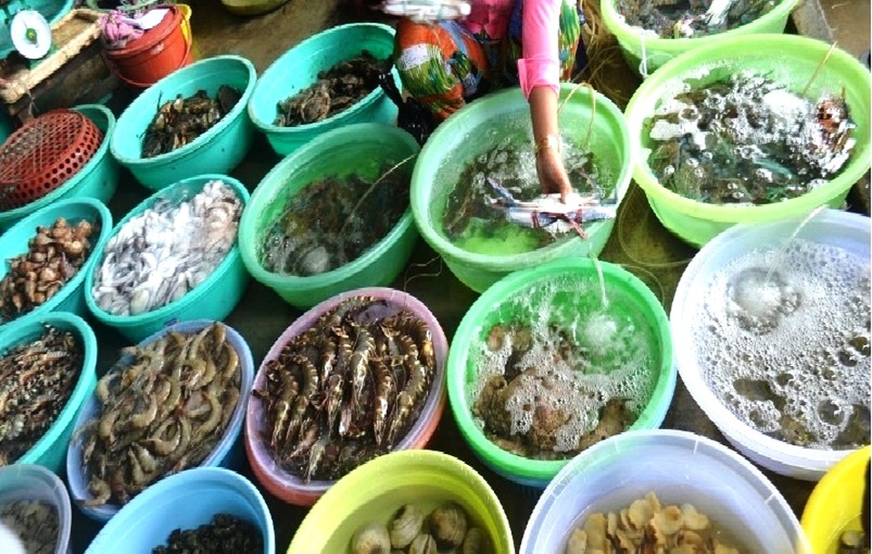 Dân buôn hải sản “hốt bạc” dịp lễ 2/9, nhiều điểm bán bỏ túi hàng trăm triệu - 2 Dân buôn hải sản “hốt bạc” dịp lễ 2/9, nhiều điểm bán bỏ túi hàng trăm triệu - 2