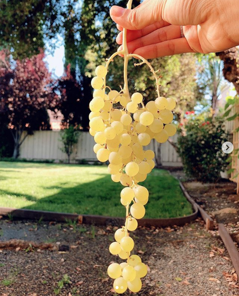 Choáng ngợp với cuộc sống sang chảnh của Hoa hậu Phạm Hương trên đất Mỹ - 18