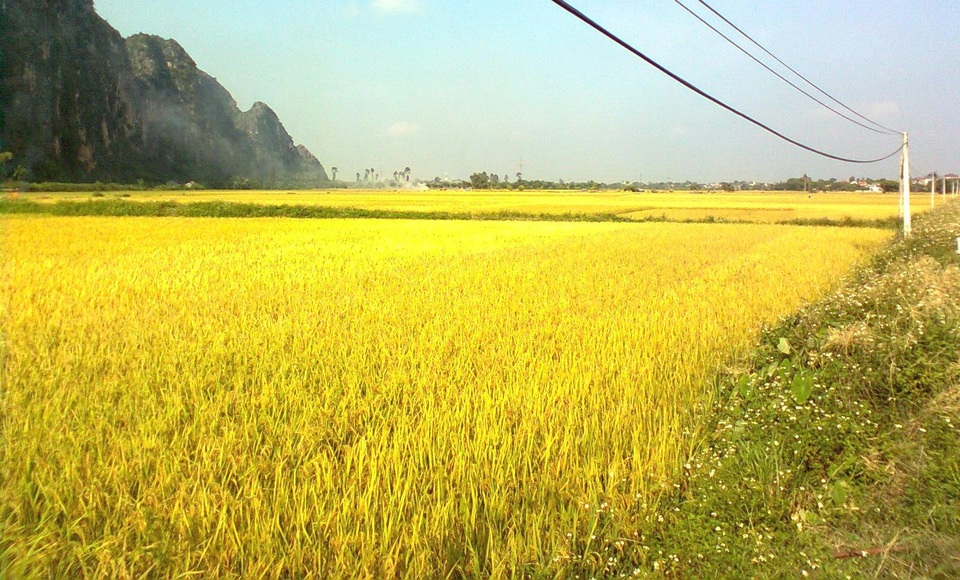 Thừa và thiếu! - 1 Thừa và thiếu! - 1