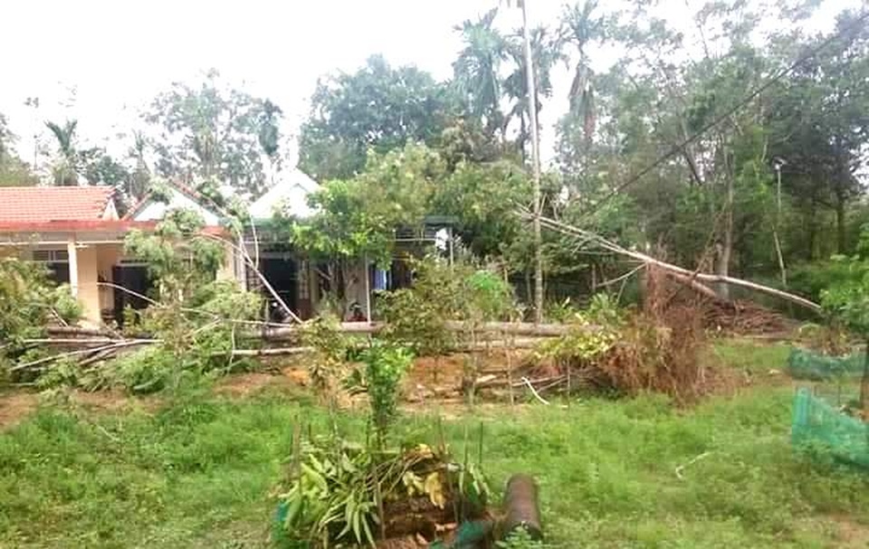 Cây xanh đổ la liệt tại Thừa Thiên Huế - 12