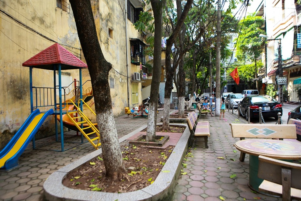 Hàng sưa nghi bị đầu độc ở Hà Nội đã khô héo - 1