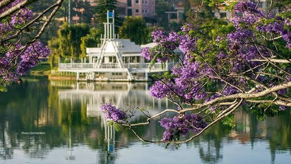 Đà Lạt đẹp ngỡ ngàng khi hoàng hôn buông xuống - 7