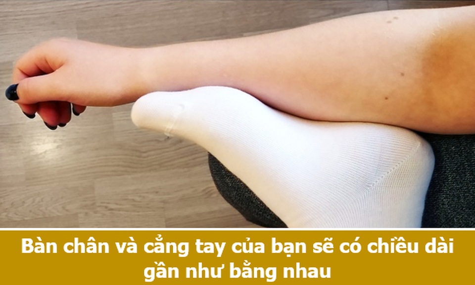 Loạt sự thật thú vị giải đáp những thắc mắc muôn thuở của chính bạn! - 6 Loạt sự thật thú vị giải đáp những thắc mắc muôn thuở của chính bạn! - 6