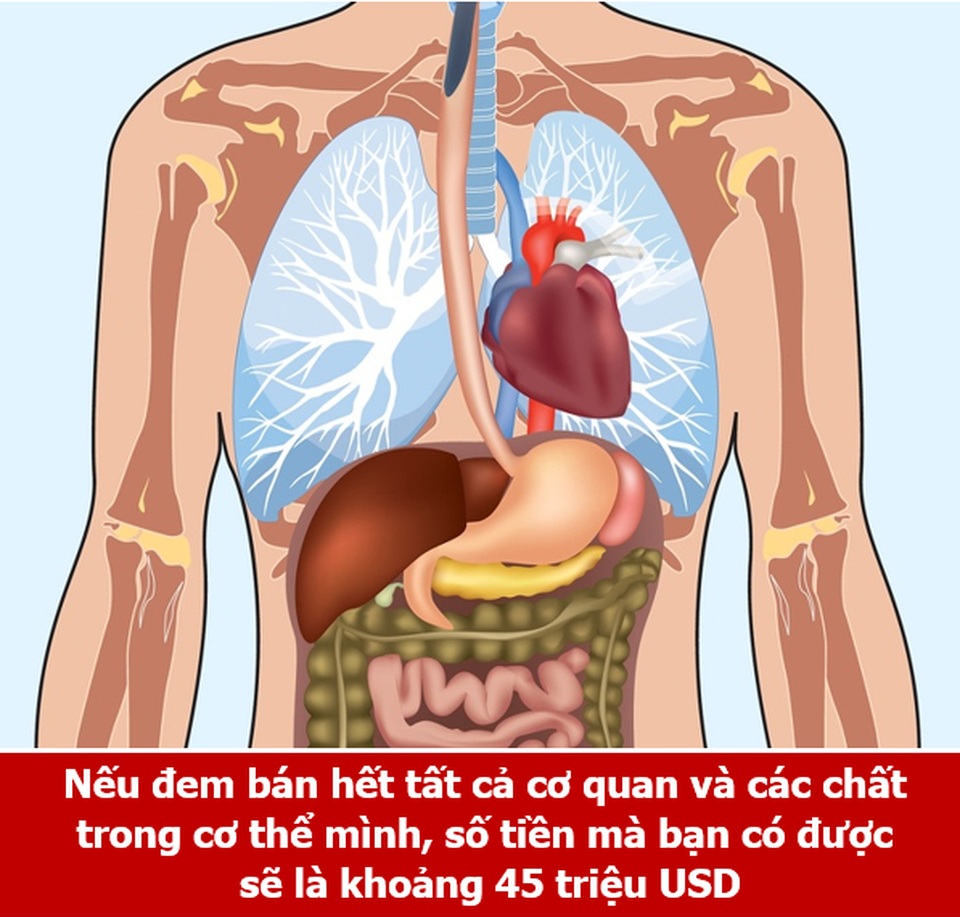 Loạt sự thật thú vị giải đáp những thắc mắc muôn thuở của chính bạn! - 4 Loạt sự thật thú vị giải đáp những thắc mắc muôn thuở của chính bạn! - 4