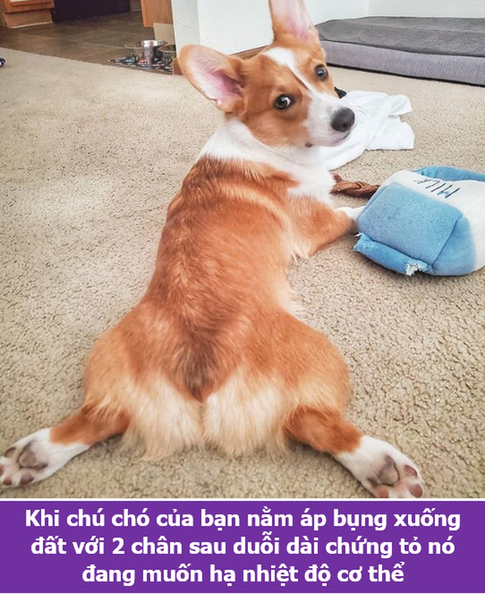 Loạt sự thật thú vị giải đáp những thắc mắc muôn thuở của chính bạn! - 1 Loạt sự thật thú vị giải đáp những thắc mắc muôn thuở của chính bạn! - 1