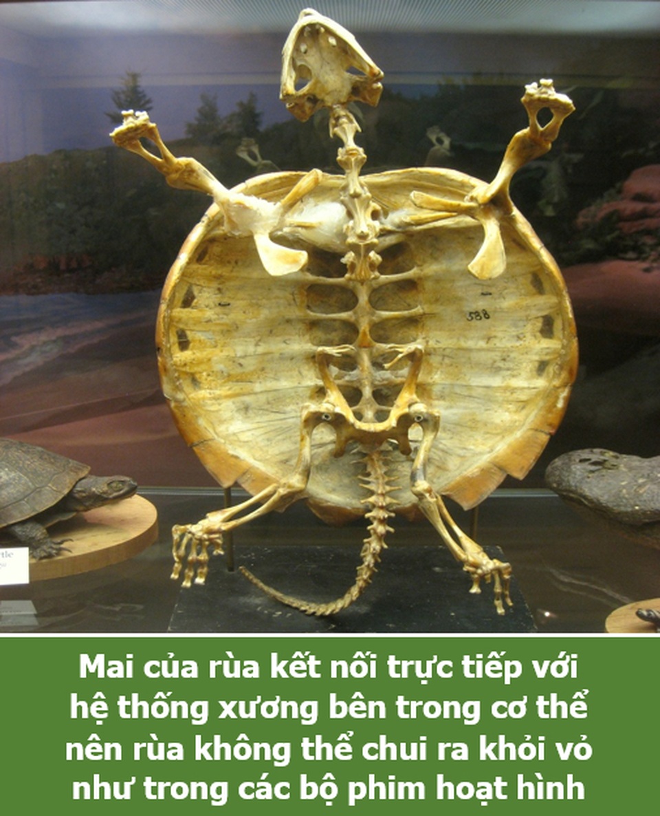Loạt sự thật thú vị giải đáp những thắc mắc muôn thuở của chính bạn! - 3 Loạt sự thật thú vị giải đáp những thắc mắc muôn thuở của chính bạn! - 3