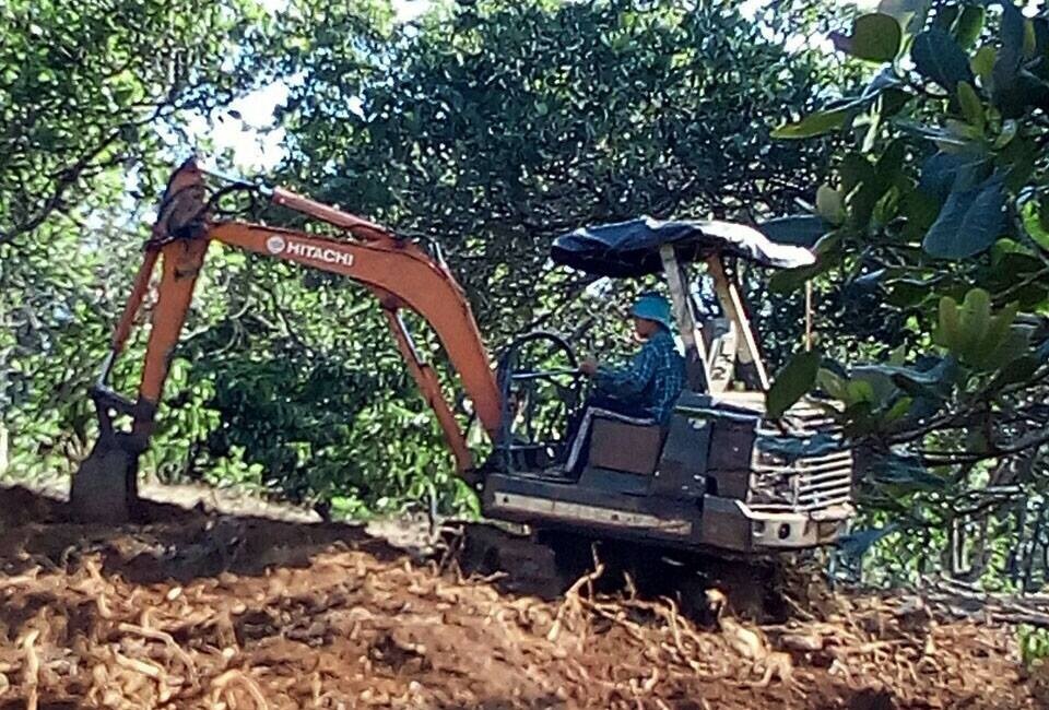 Bị lấn mất quá nửa diện tích đất đi thuê, doanh nghiệp xin trả lại đất cho tỉnh - 2 Bị lấn mất quá nửa diện tích đất đi thuê, doanh nghiệp xin trả lại đất cho tỉnh - 2