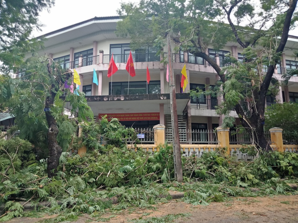 Cây xanh đổ la liệt tại Thừa Thiên Huế - 1