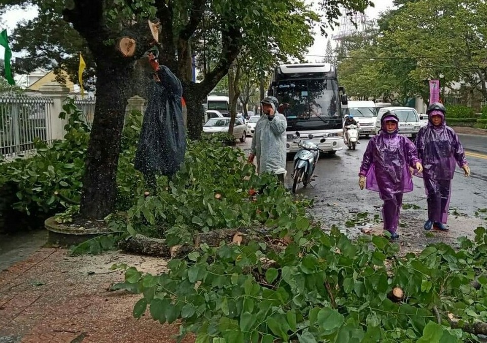 Mưa lớn khiến nhiều cây xanh bị quật đổ, 20 nhà dân bị tốc mái - 1 Mưa lớn khiến nhiều cây xanh bị quật đổ, 20 nhà dân bị tốc mái - 1