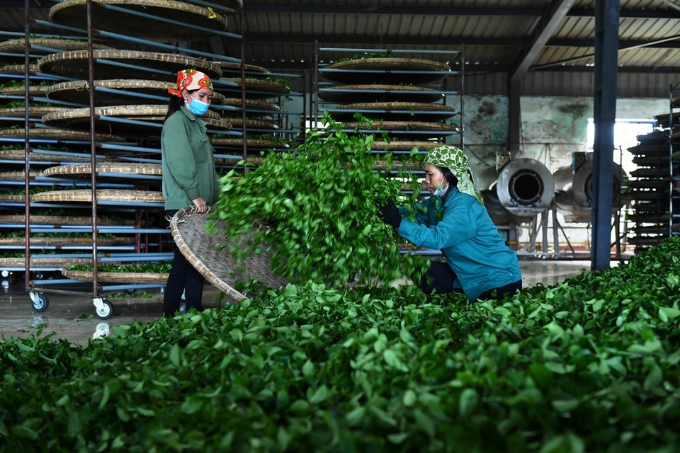 Ngành ngân hàng gỡ khó về tín dụng cho khu vực trung du, miền núi phía Bắc - 1 Ngành ngân hàng gỡ khó về tín dụng cho khu vực trung du, miền núi phía Bắc - 1