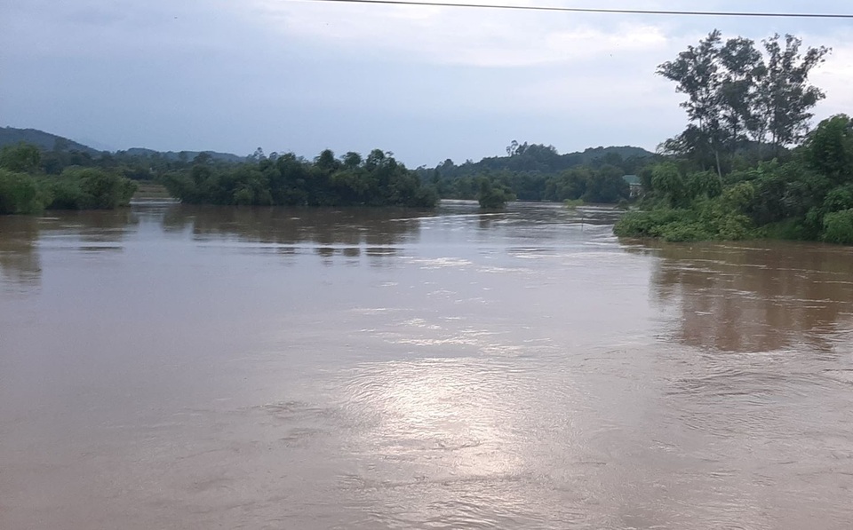 Hàng ngàn ha lúa hè thu chìm trong biển nước vì mưa lớn kéo dài - 1 Hàng ngàn ha lúa hè thu chìm trong biển nước vì mưa lớn kéo dài - 1