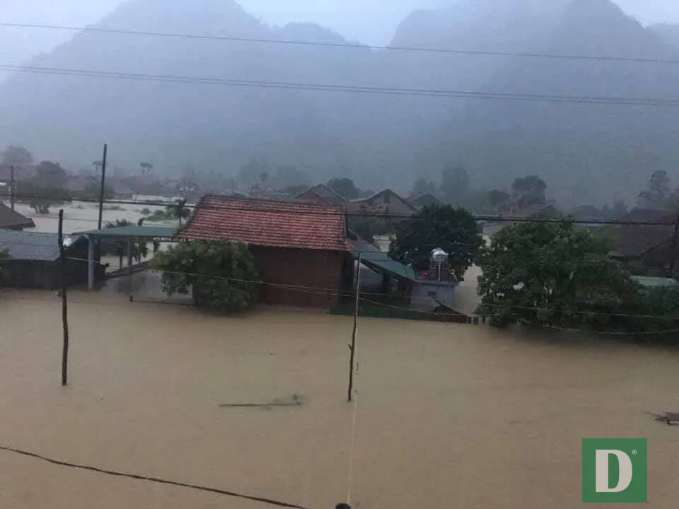 Nhiều trường sẽ hoãn khai giảng năm học mới vì mưa lũ - 8 Nhiều trường sẽ hoãn khai giảng năm học mới vì mưa lũ - 8