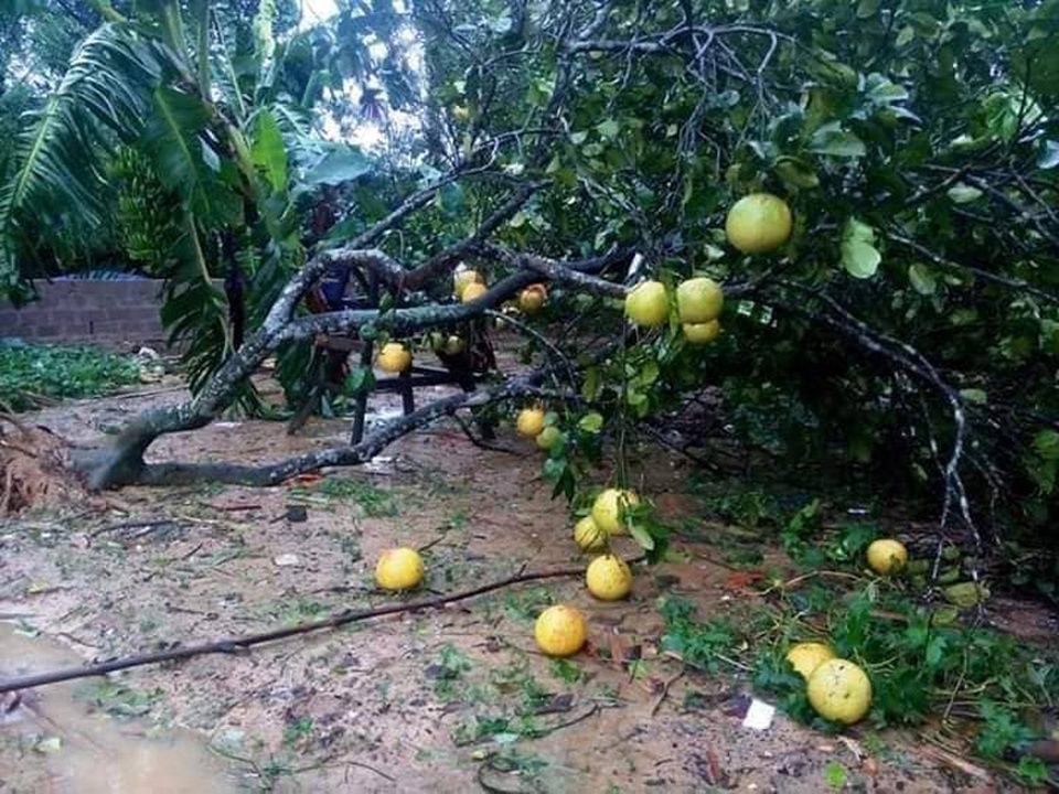 Hà Tĩnh đề nghị Trung ương hỗ trợ 300 tỷ đồng khắc phục hậu quả mưa lũ - 3 Hà Tĩnh đề nghị Trung ương hỗ trợ 300 tỷ đồng khắc phục hậu quả mưa lũ - 3