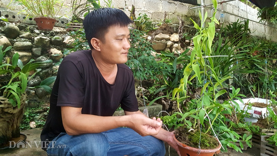 8X Lạng Sơn mê phong lan rừng: Kiếm trăm triệu từ 1 câu nhỡ mồm - 2 8X Lạng Sơn mê phong lan rừng: Kiếm trăm triệu từ 1 câu nhỡ mồm - 2