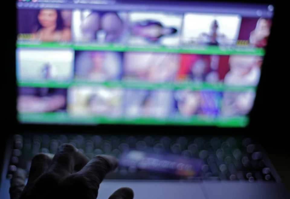 22 phụ nữ kiện hãng phim khiêu dâm vì bị lừa quay video, phát tán trên Internet - 2