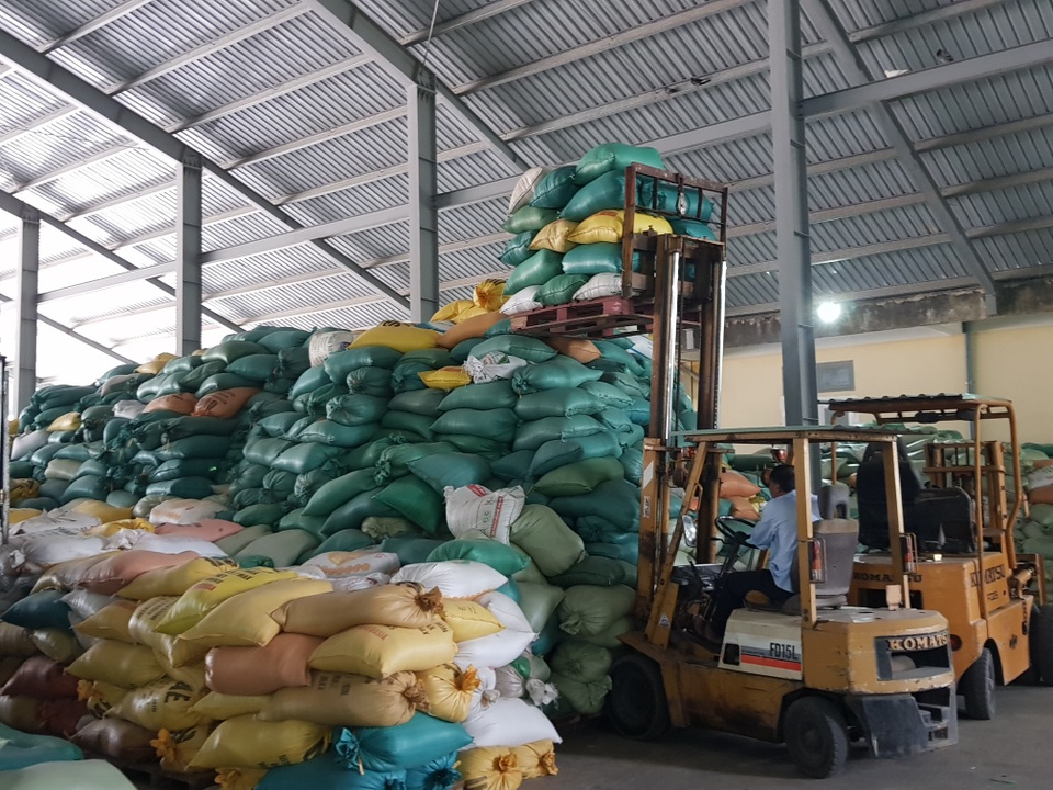 Máy sấy chạy hết công suất “cứu” hàng trăm tấn lúa ngập nước, nảy mầm - 6 Máy sấy chạy hết công suất “cứu” hàng trăm tấn lúa ngập nước, nảy mầm - 6