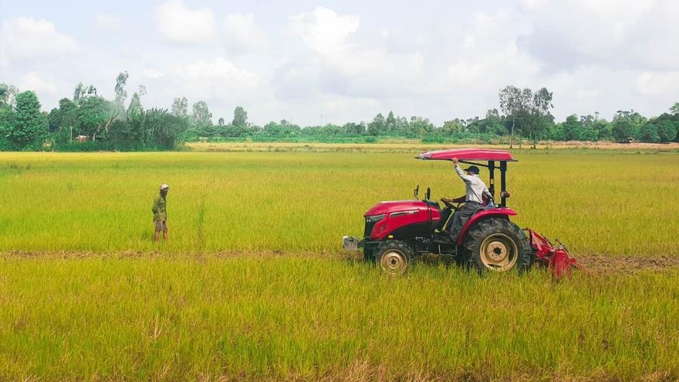 Máy kéo Yanmar YM3 thế hệ mới thu hút nông dân miền Tây - 3 Máy kéo Yanmar YM3 thế hệ mới thu hút nông dân miền Tây - 3