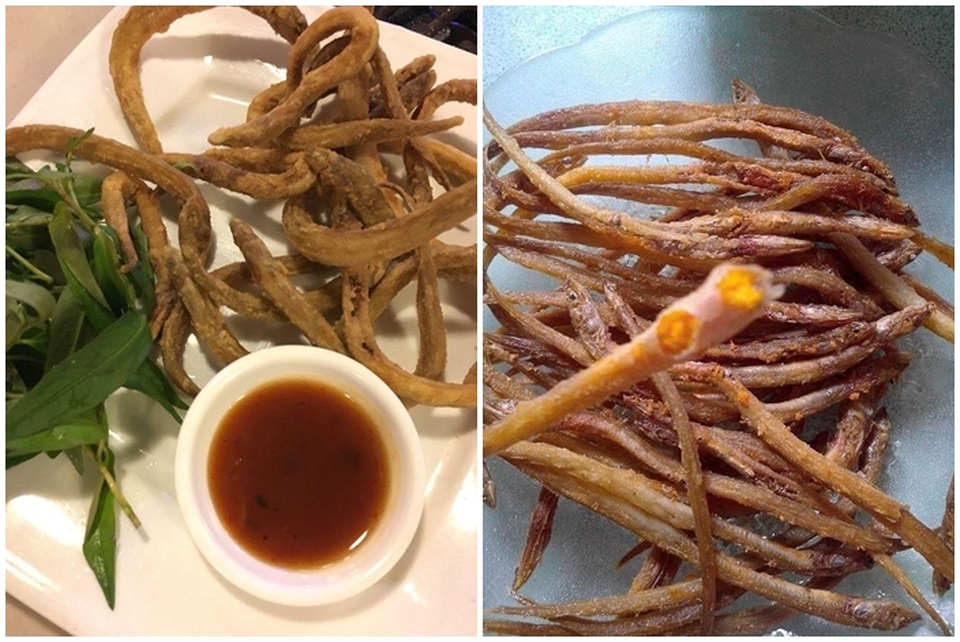 Kỳ lạ loại cá dài ngoằng như giun, ăn giòn rụm khiến dân Hà Thành phát sốt - 3 Kỳ lạ loại cá dài ngoằng như giun, ăn giòn rụm khiến dân Hà Thành phát sốt - 3