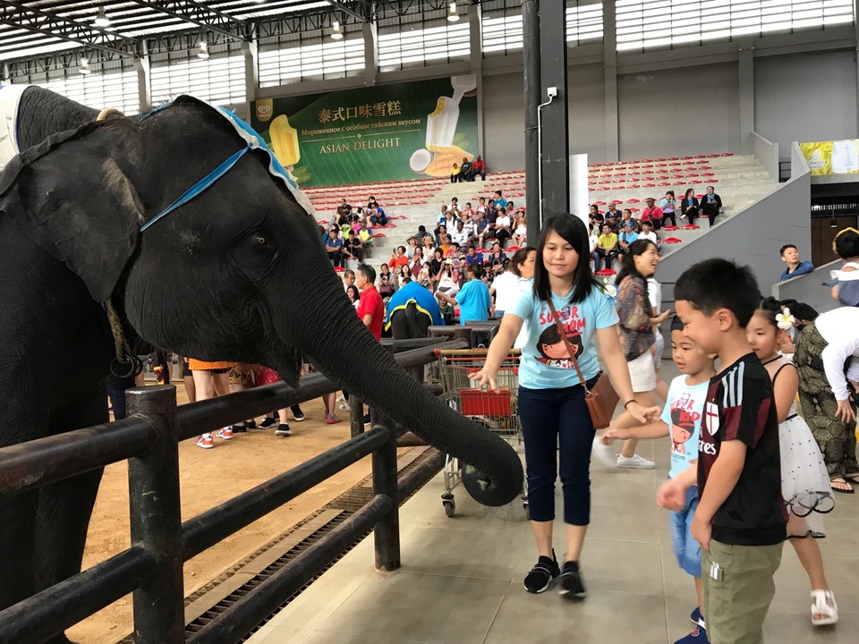 Đi du lịch mà diện váy áo, giày dép như... trình diễn thời trang - 5