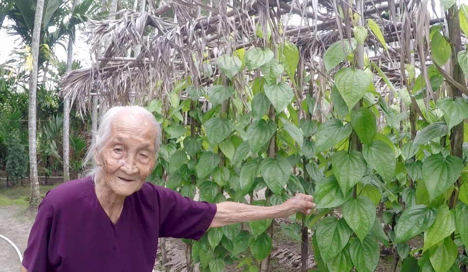 Cụ bà 106 tuổi ở Sài Gòn, mỗi ngày vẫn đi nhổ cỏ, lùa bò... - 2 Cụ bà 106 tuổi ở Sài Gòn, mỗi ngày vẫn đi nhổ cỏ, lùa bò... - 2