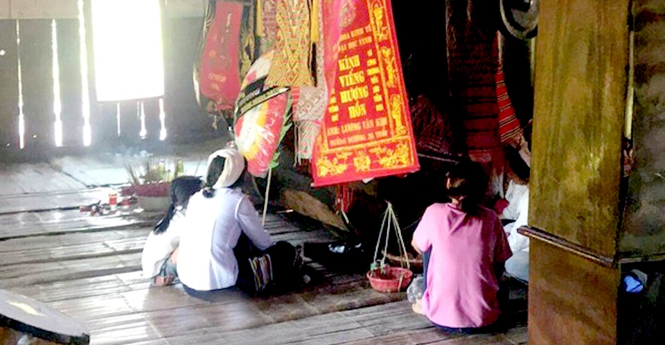 Bắt tổ ong rừng, bị ong tấn công tử vong - 1