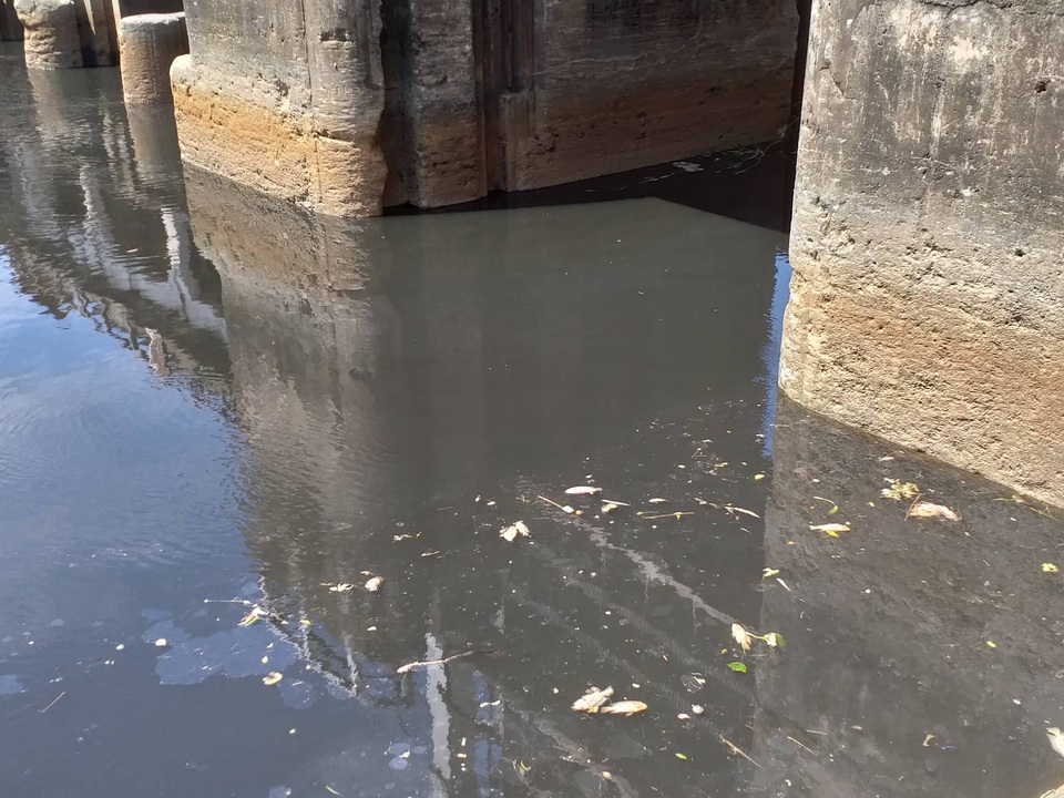 Nước sông Vinh bất ngờ đổi màu đen và bốc mùi hôi thối - 3 Nước sông Vinh bất ngờ đổi màu đen và bốc mùi hôi thối - 3