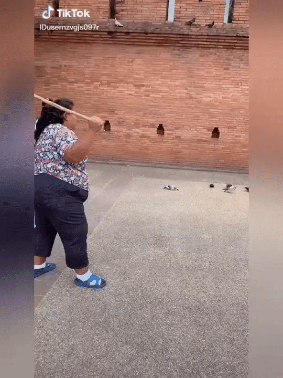 Bỏ tiền nhờ đuổi chim để… sống ảo - 2 Bỏ tiền nhờ đuổi chim để… sống ảo - 2