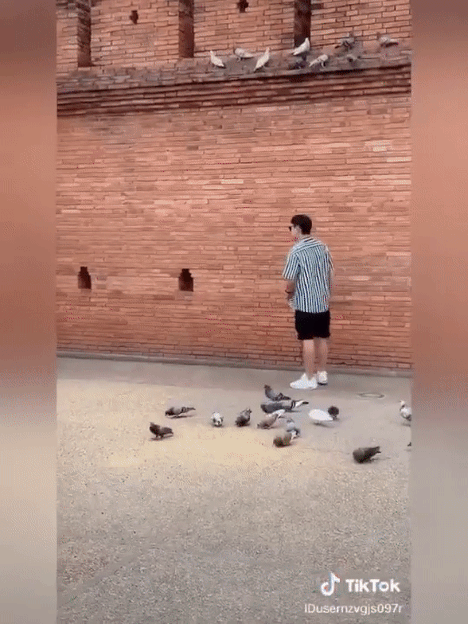 Bỏ tiền nhờ đuổi chim để… sống ảo - 3 Bỏ tiền nhờ đuổi chim để… sống ảo - 3