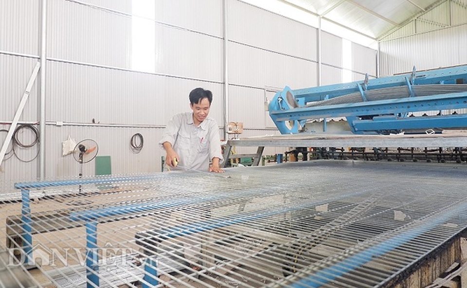 Kỹ sư bỏ nghề về nuôi chim bồ câu, lứa đầu trắng tay sau là tỷ phú - 4 Kỹ sư bỏ nghề về nuôi chim bồ câu, lứa đầu trắng tay sau là tỷ phú - 4