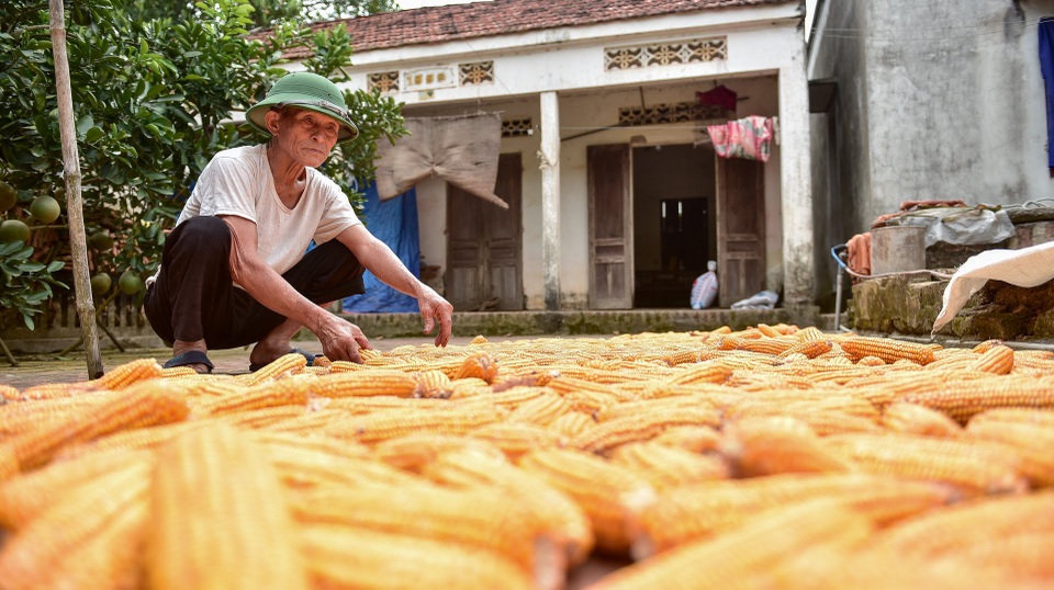 Người đàn ông có biệt tài ăn 8 bát cơm, tráng miệng bằng 15 quả trứng vịt lộn - 9 Người đàn ông có biệt tài ăn 8 bát cơm, tráng miệng bằng 15 quả trứng vịt lộn - 9