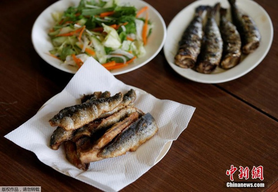 Cuộc đời của một võ sĩ Sumo: Kỷ luật thép, bữa ăn khổng lồ và giấc ngủ với... bình oxy - 3 Cuộc đời của một võ sĩ Sumo: Kỷ luật thép, bữa ăn khổng lồ và giấc ngủ với... bình oxy - 3