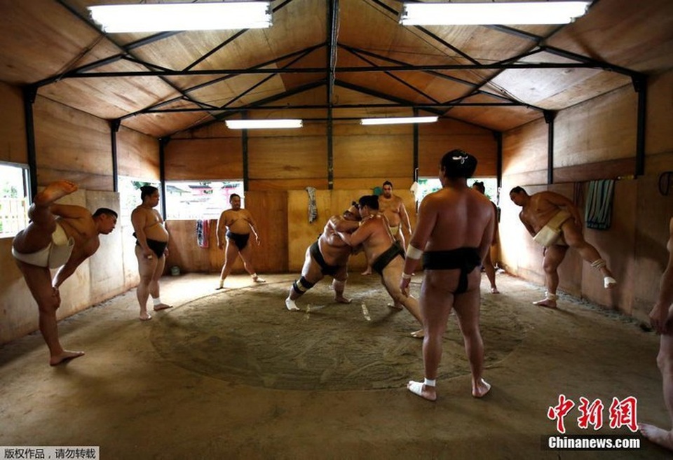 Cuộc đời của một võ sĩ Sumo: Kỷ luật thép, bữa ăn khổng lồ và giấc ngủ với... bình oxy - 6 Cuộc đời của một võ sĩ Sumo: Kỷ luật thép, bữa ăn khổng lồ và giấc ngủ với... bình oxy - 6