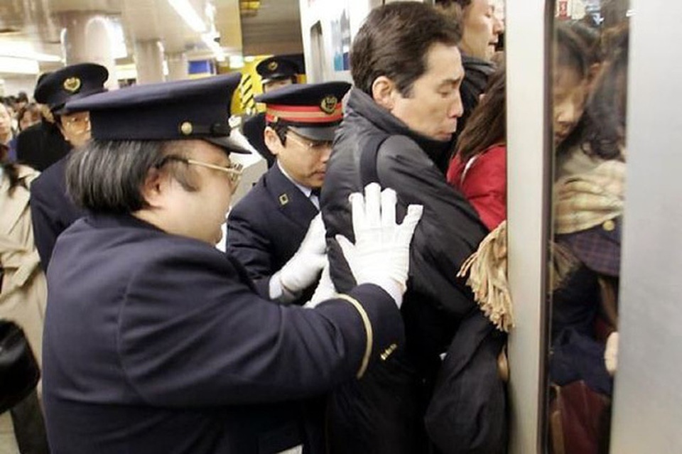 Những nghề lạ đến khó tin mà lương cao không tưởng - 5