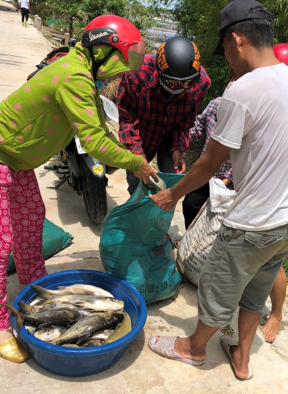 Gần 70 tấn cá lồng bỗng dưng... chết sạch - 5 Gần 70 tấn cá lồng bỗng dưng... chết sạch - 5