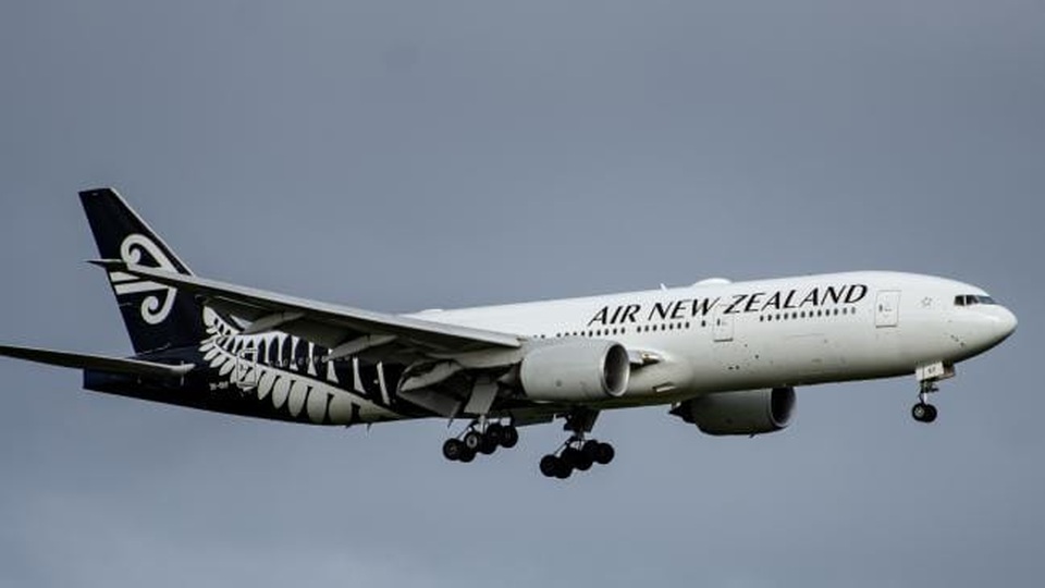 Hành khách tử vong trước khi máy bay kịp hạ cánh - 2