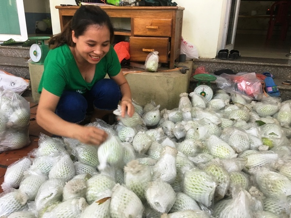 Rời Thủ đô, vợ chồng cử nhân xứ Thanh về quê trồng bưởi, ổi, cam ....thu tiền tỷ - 7 Rời Thủ đô, vợ chồng cử nhân xứ Thanh về quê trồng bưởi, ổi, cam ....thu tiền tỷ - 7