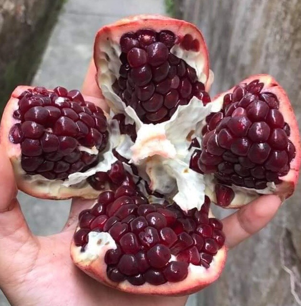 Quả lạ đen thui, quên nỗi sợ hàng Trung Quốc chị em lùng ăn làm đẹp - 2 Quả lạ đen thui, quên nỗi sợ hàng Trung Quốc chị em lùng ăn làm đẹp - 2