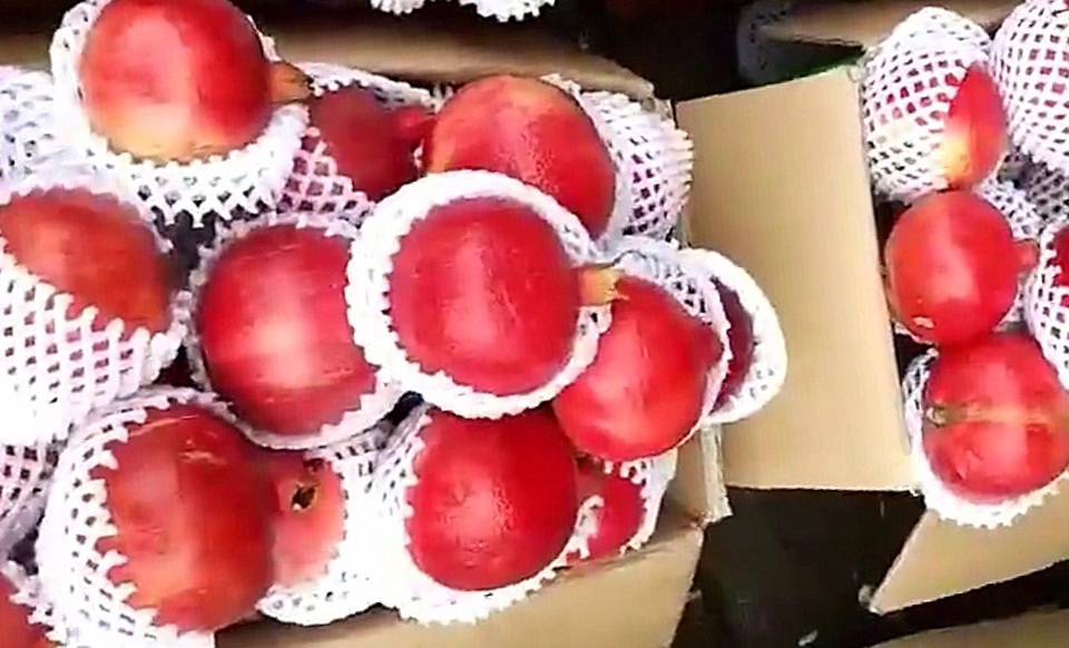 Quả lạ đen thui, quên nỗi sợ hàng Trung Quốc chị em lùng ăn làm đẹp - 4 Quả lạ đen thui, quên nỗi sợ hàng Trung Quốc chị em lùng ăn làm đẹp - 4