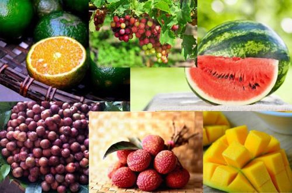 Ăn hoa quả như thế nào để tốt cho cơ thể? - 2 Ăn hoa quả như thế nào để tốt cho cơ thể? - 2