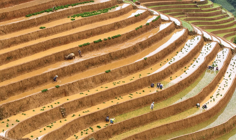 4 bức ảnh Việt Nam lọt vào những khoảnh khắc đẹp nhất thế giới 2019 - 4 4 bức ảnh Việt Nam lọt vào những khoảnh khắc đẹp nhất thế giới 2019 - 4