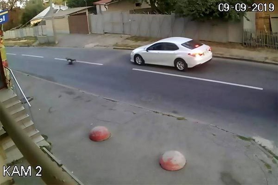 Bị ôtô đâm trúng, bé trai thoát chết kỳ diệu nhờ ba lô đi học - 2